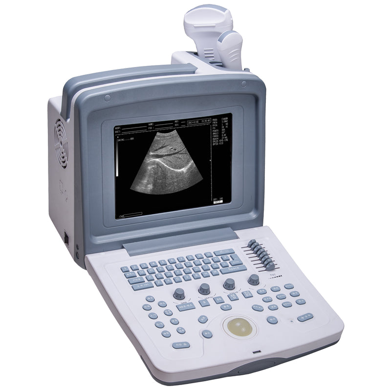 WellD WED-9618 B-Ultrasound Diagnostic Apparatus