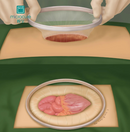 Disposable Incision Protection Sleeve