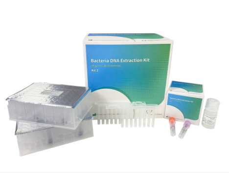 Bioperfectus Bacteria DNA Extraction Kit (Magnetic Bead Method)