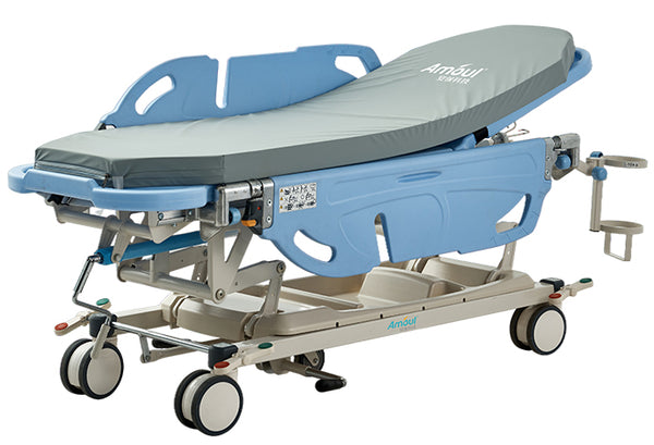 AMOUL ETB-2 Multifunctional Transfer Bed