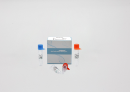 Bioperfectus  Monkeypox Virus Real Time PCR Kit