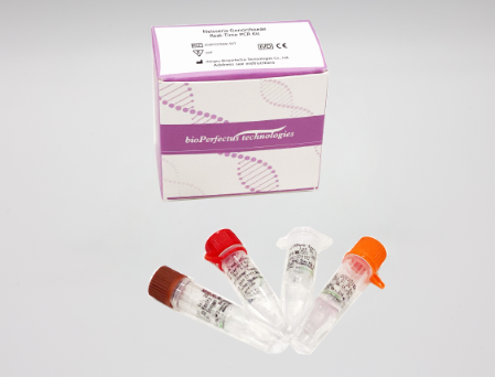 Bioperfectus  Neisseria Gonorrhoeae Real Time PCR Kit