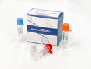 Bioperfectus  Plasmodium DNA Real Time PCR Kit