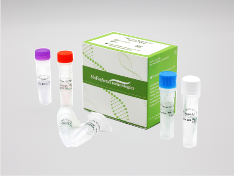 Bioperfectus SARS-CoV-2 Variant B.1.617 Real Time PCR Kit (RUO)