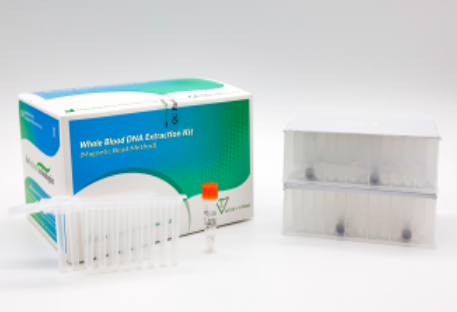 Bioperfectus Whole Blood DNA Extraction Kit (Magnetic Bead Method)