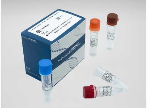 Bioperfectus Yellow Fever Virus Real Time PCR Kit